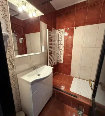 hotel-iasi-ambasador (12)