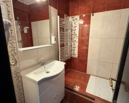 hotel-iasi-ambasador (12)