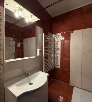 hotel-iasi-ambasador (13)