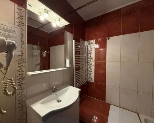 hotel-iasi-ambasador (13)