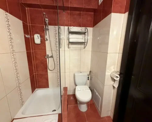 hotel-iasi-ambasador (14)