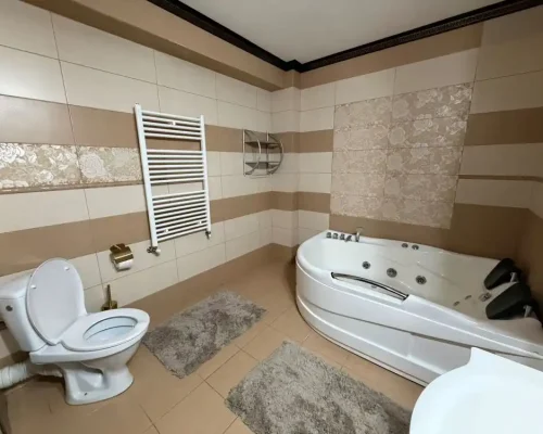 hotel-iasi-ambasador (18)