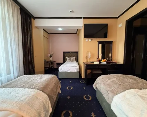 hotel-iasi-ambasador (27)