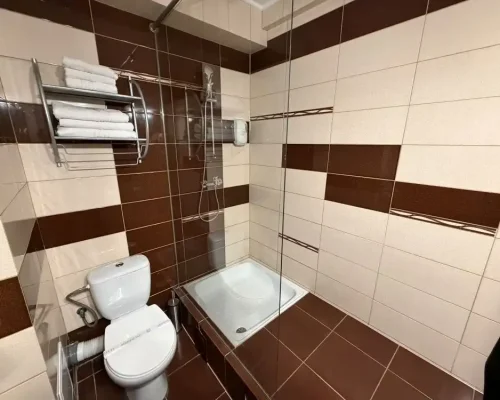 hotel-iasi-ambasador (35)